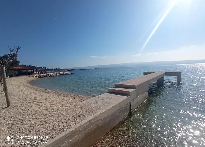 Danijela *